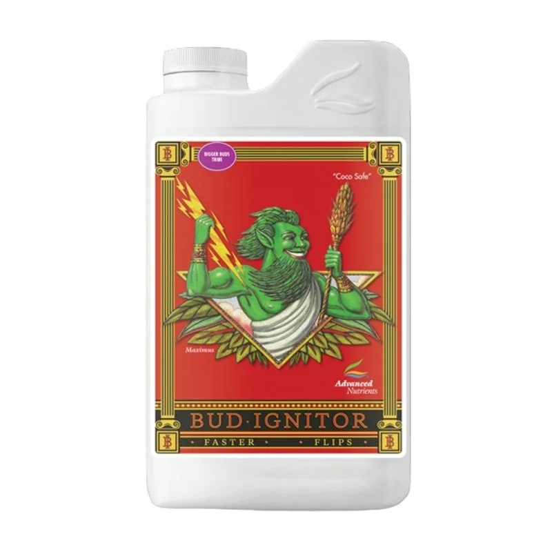 hempbasement-352379