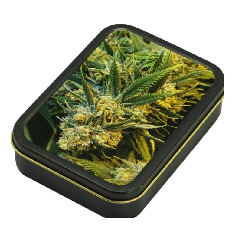 hempbasement-352465