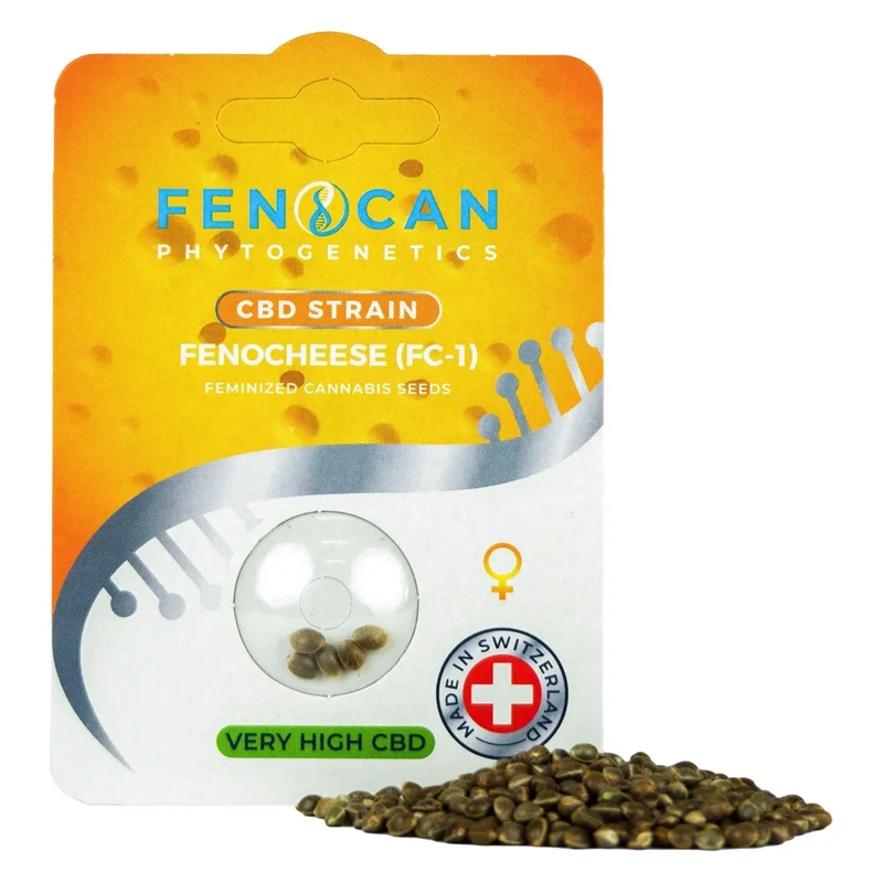 hempbasement-352650