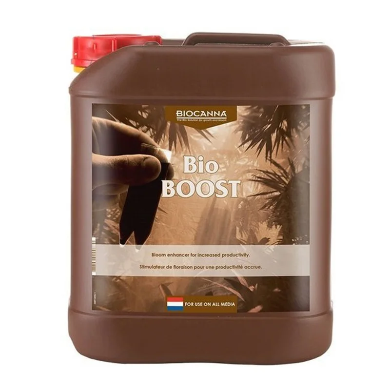 hempbasement-352729
