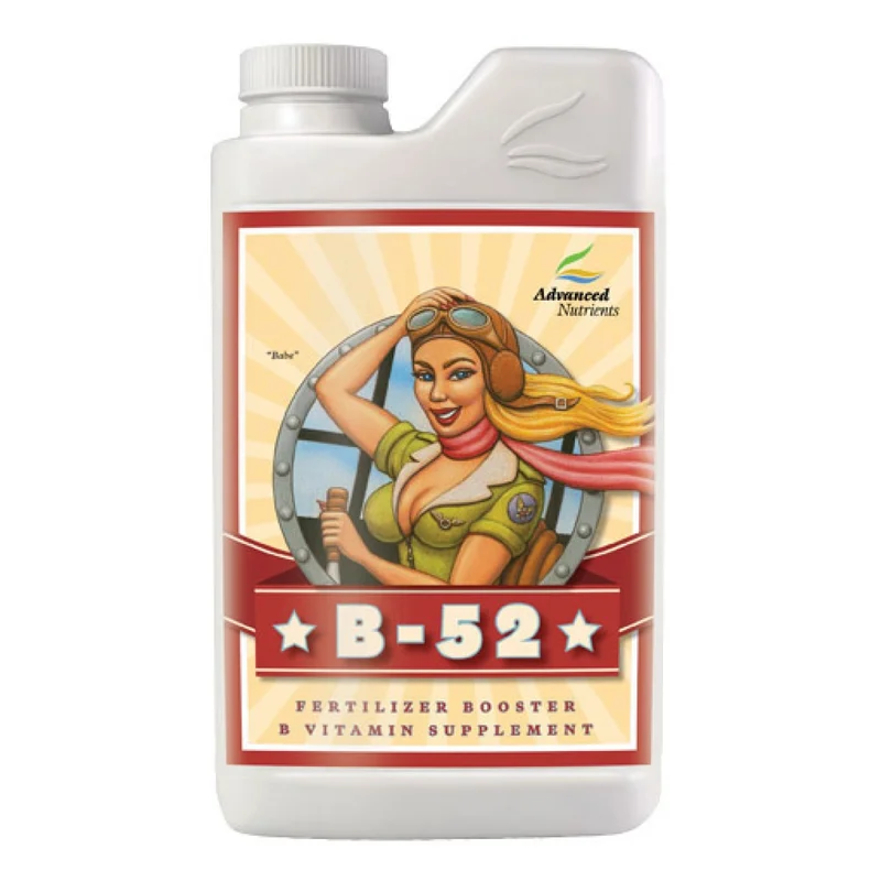 hempbasement-352812