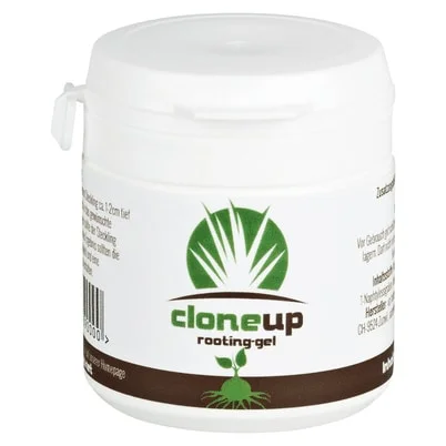 hempbasement-353246