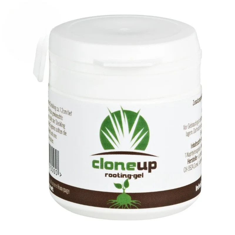 hempbasement-353257