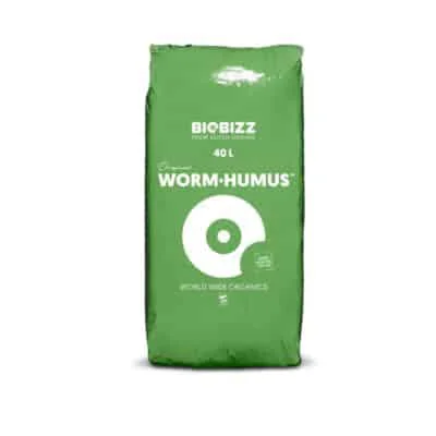 hempbasement-353306