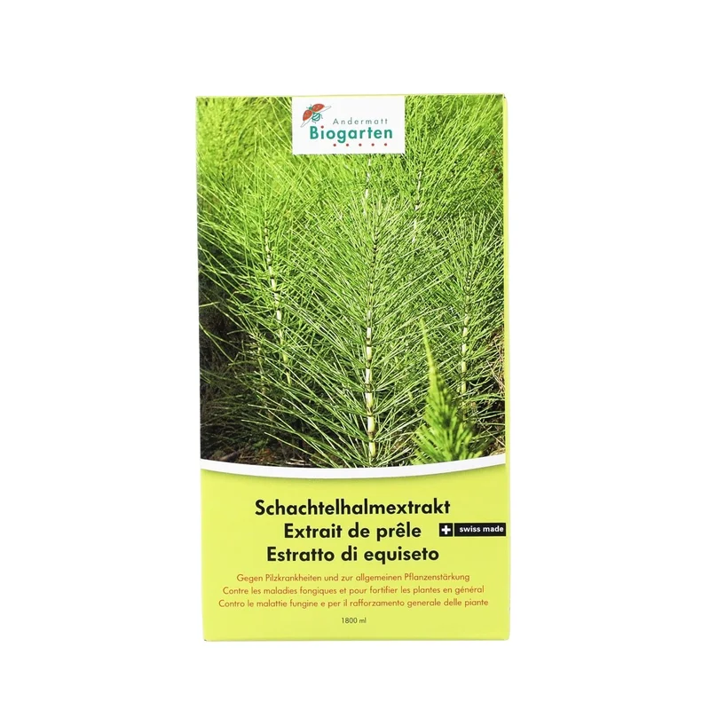 hempbasement-353674