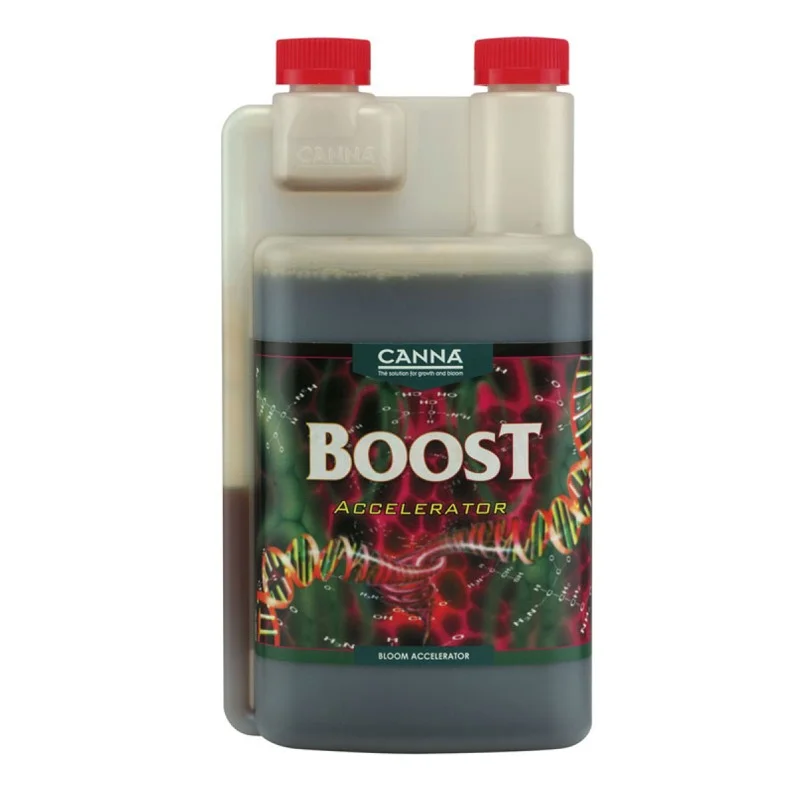 hempbasement-354104