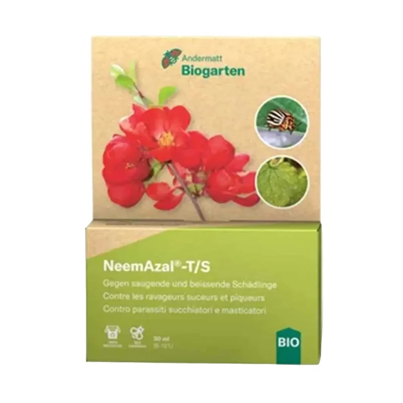 hempbasement-354163