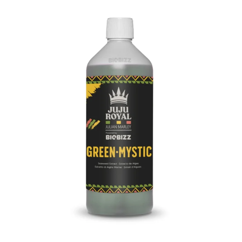 hempbasement-354534