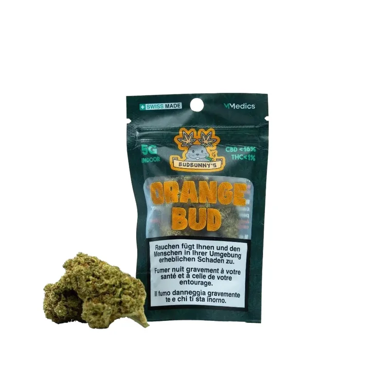 hempbasement-354565