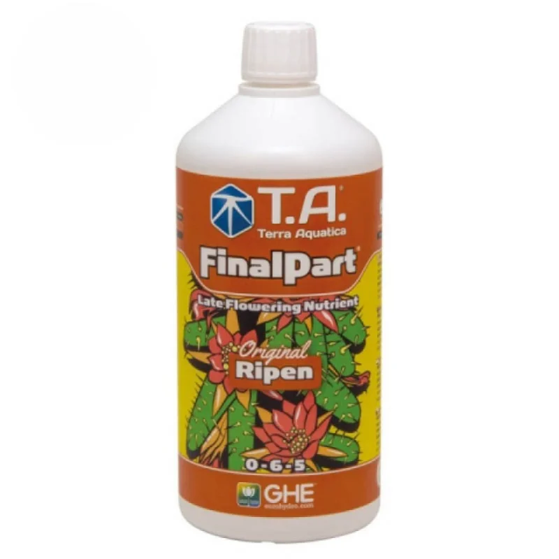 hempbasement-354589