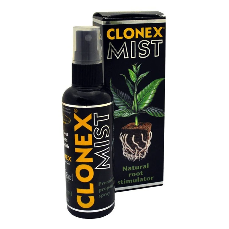 hempbasement-354609