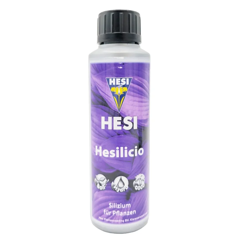 hempbasement-354610
