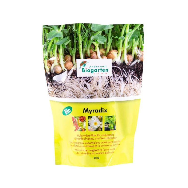 hempbasement-354814