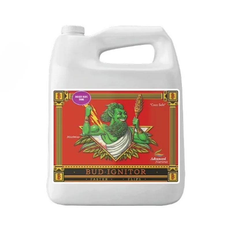 hempbasement-354856