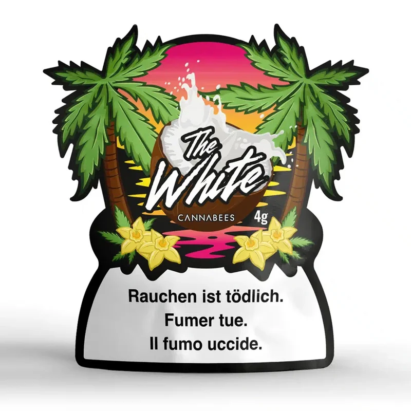 hempbasement-355031