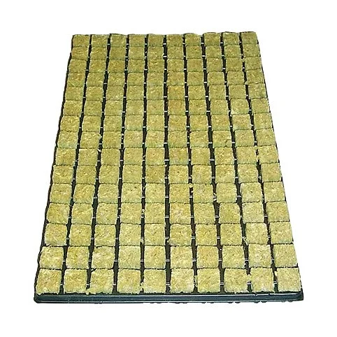 hempbasement-356619