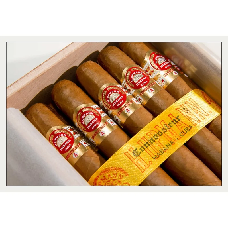 portmanntabak-222404
