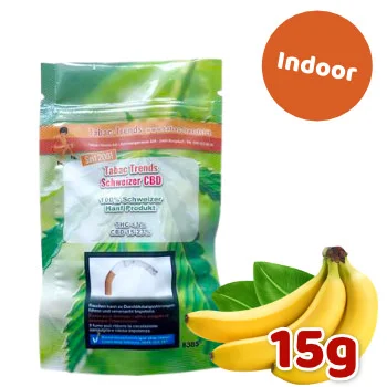 tabac-trends-225904