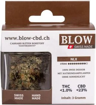 tabac-trends-225953