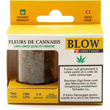 tabac-trends-225965