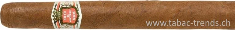 tabac-trends-229874