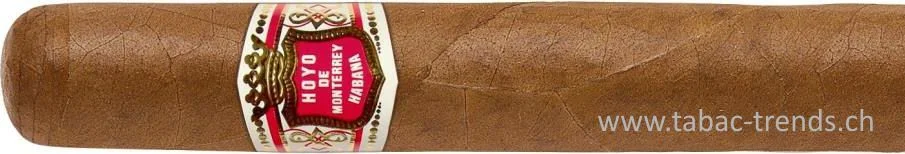 tabac-trends-229890