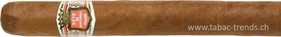 tabac-trends-229894