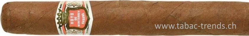tabac-trends-229903
