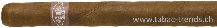tabac-trends-230089