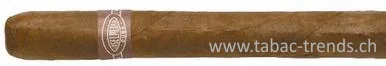 tabac-trends-230091