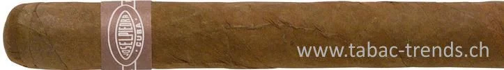 tabac-trends-230095