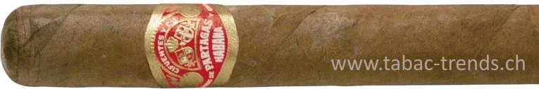 tabac-trends-230241