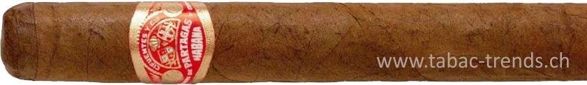 tabac-trends-230254