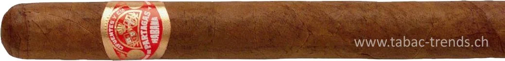 tabac-trends-230330