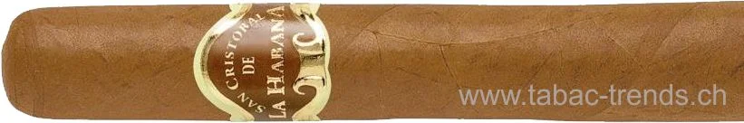 tabac-trends-230357