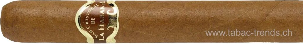 tabac-trends-230358