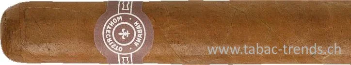 tabac-trends-230508