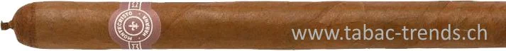 tabac-trends-230516