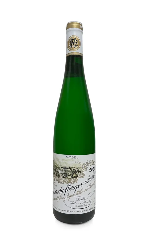 vintage-grapes504948