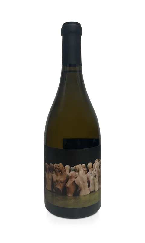 vintage-grapes508756