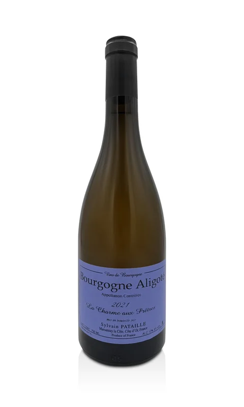 vintage-grapes515935
