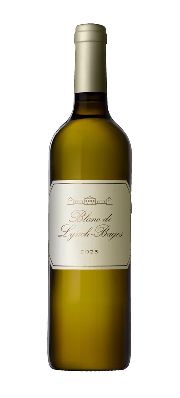 vintage-grapes517979