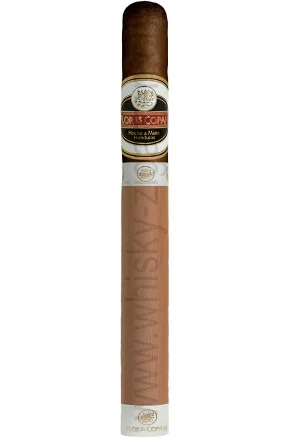 whisky-zigarren-239678