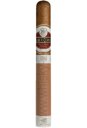 whisky-zigarren-239749